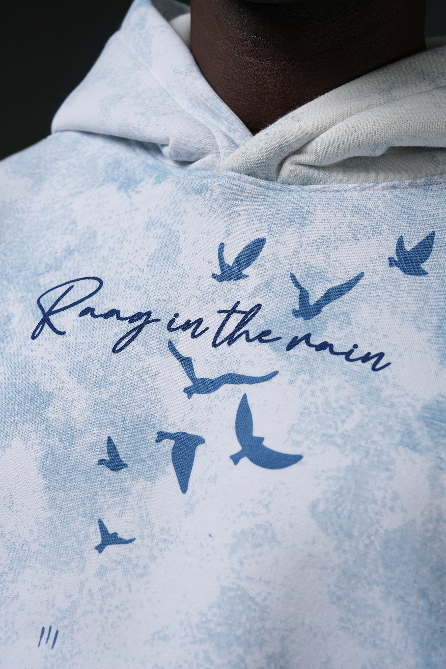 THE BLUE CHRONICLE HOODIE