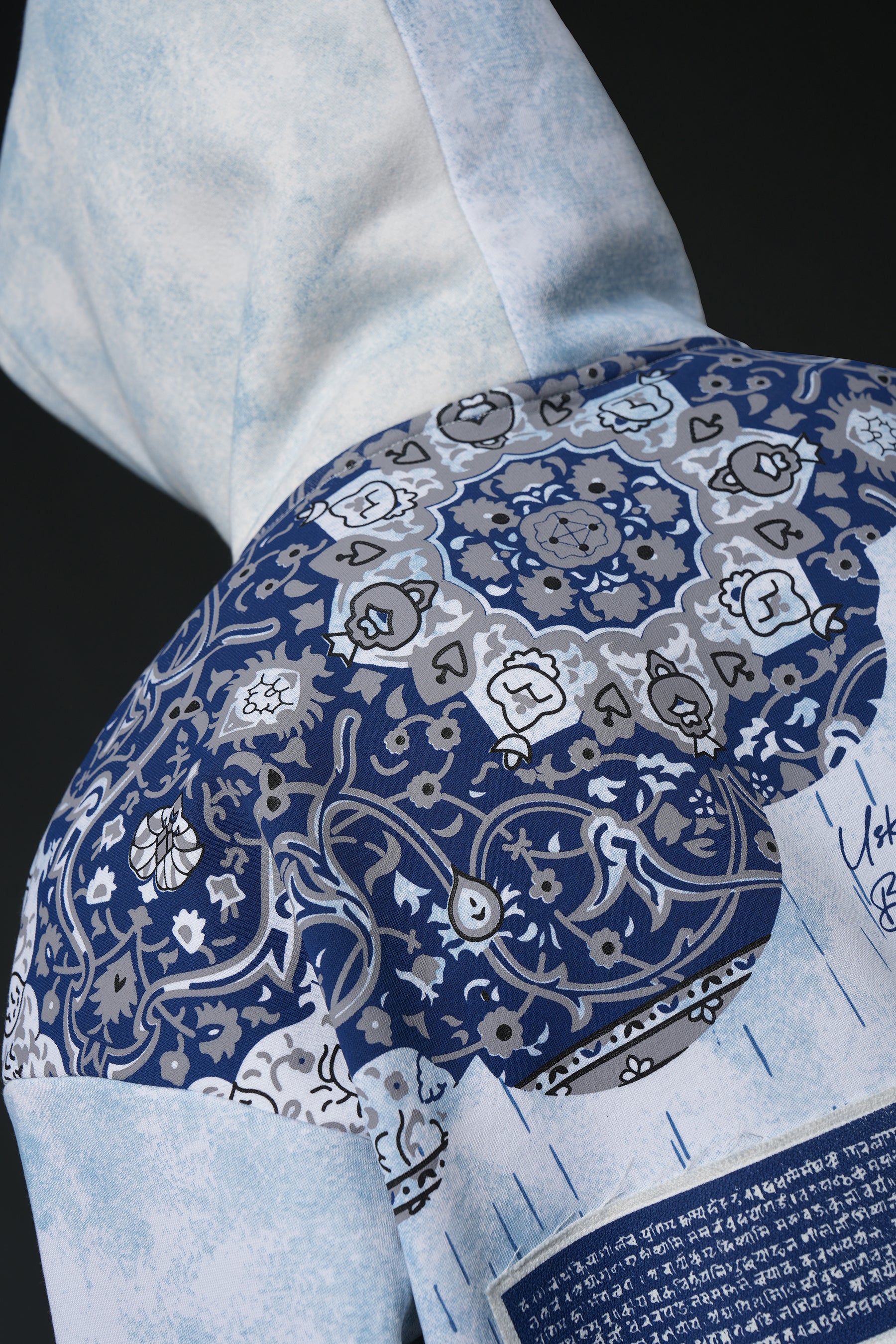 THE BLUE CHRONICLE HOODIE